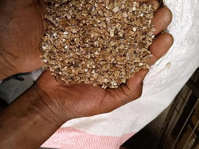 Handful of golden exfoliated vermiculite aggregate held over an open sack
